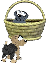 a dog in a basket and a dog outside, both from Petz4
