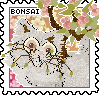 bonsai stamp